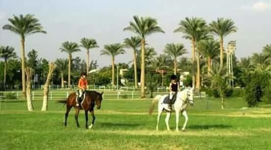 Sakkara Country Club Hotel El Hawamdeya Eksteriør billede