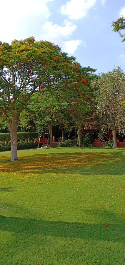 Sakkara Country Club Hotel El Hawamdeya Eksteriør billede